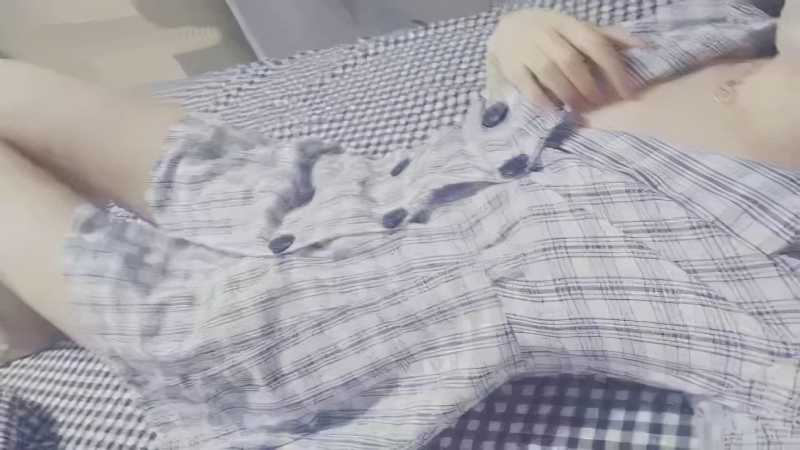 恶犬 格子衬衫 [2V/333M]
