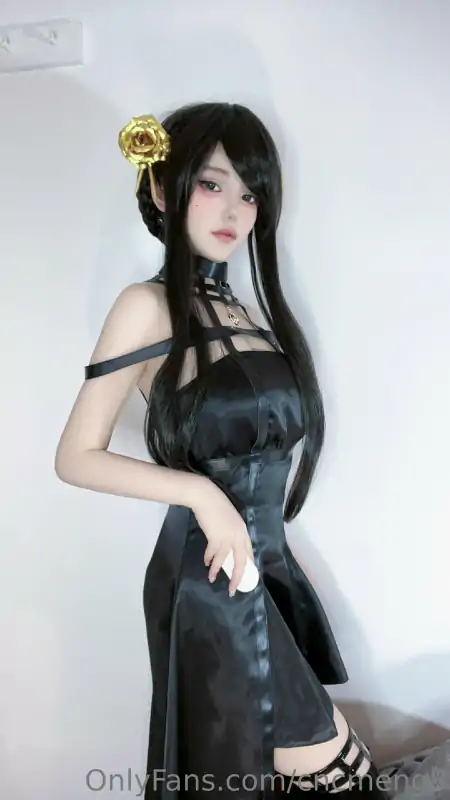 极品高颜值网红欲梦Onlyfans视图合集 [291P+25V/1.56G]