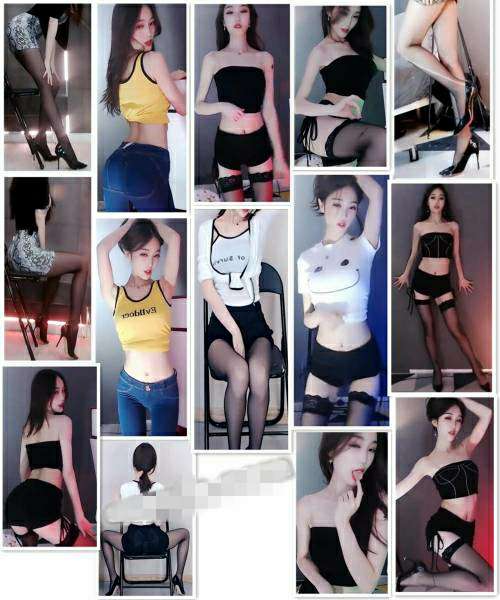 主播 清妍 上帝视角、抖臀、热舞福利大合集第二套 [295V/18.6G]