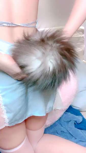 正能量小猪 视频 [5V/2.7G]