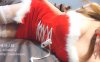 完具 (娜美) 20.12.25 圣诞装 [2V/355M]