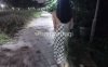 寒烟夫妻作品合集 [79P+10V/9G]