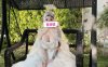 健身婊资源合集 [615P+9V/214M]