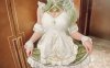 软萌兔兔酱 一日女仆 [40P+1V/879M]