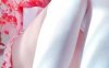霉可可 粉色樱花 [17P+1V/302M]