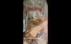 草莓味的软糖呀 – 小姐姐与向日葵 [1V/418MB]