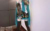 萌白酱 初音未来COS [43P+1V/1.25G]