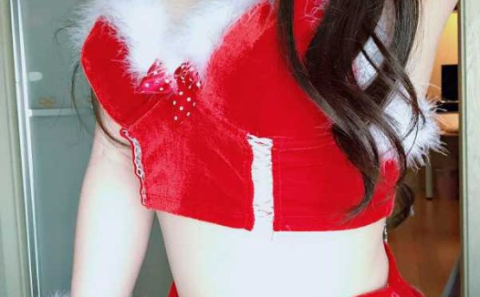 恶犬小姐姐 – 圣诞火狐狸 [37P+1V/514MB]