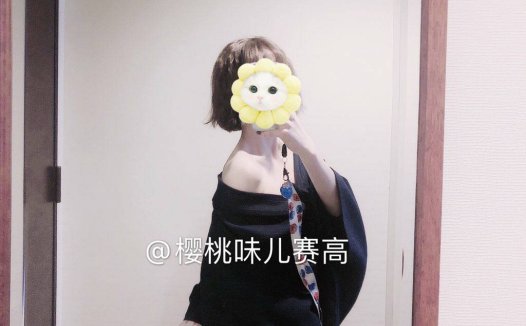 樱桃味赛高 视图 [73P+10V]